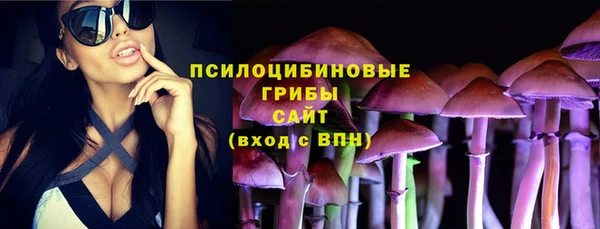 мдма Горняк