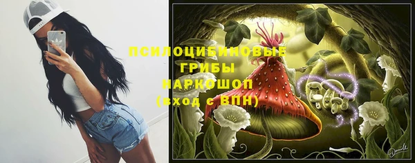 мдма Горняк