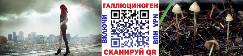 Купить закладки  Осташков  Псилоцибиновые грибы прущие грибы 